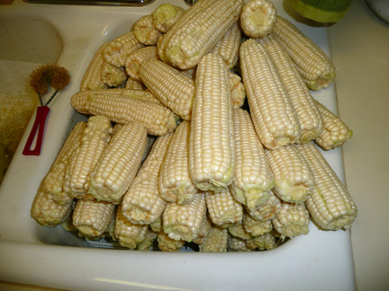 A sink full of corn awaiting the final steps of preparation.