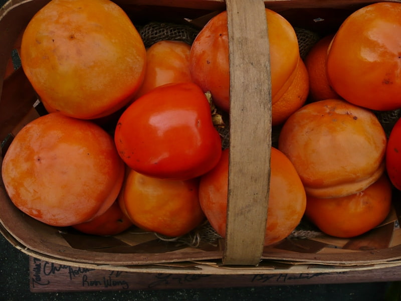 basket of persimmons