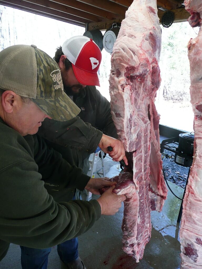 butchering deer 